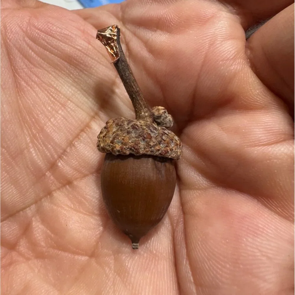 Artisan Woodland Acorn Silver & Gold Leaf Nature Pendant Necklace